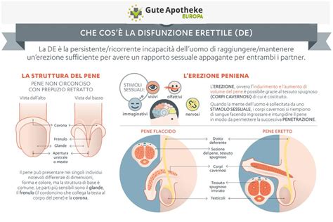 forum disfunzione erettile|disfunzione erettile a 60 anni.